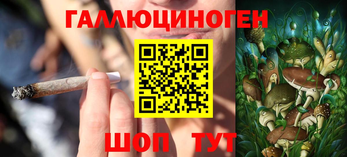 Псилоцибиновые грибы Cubensis Кропоткин