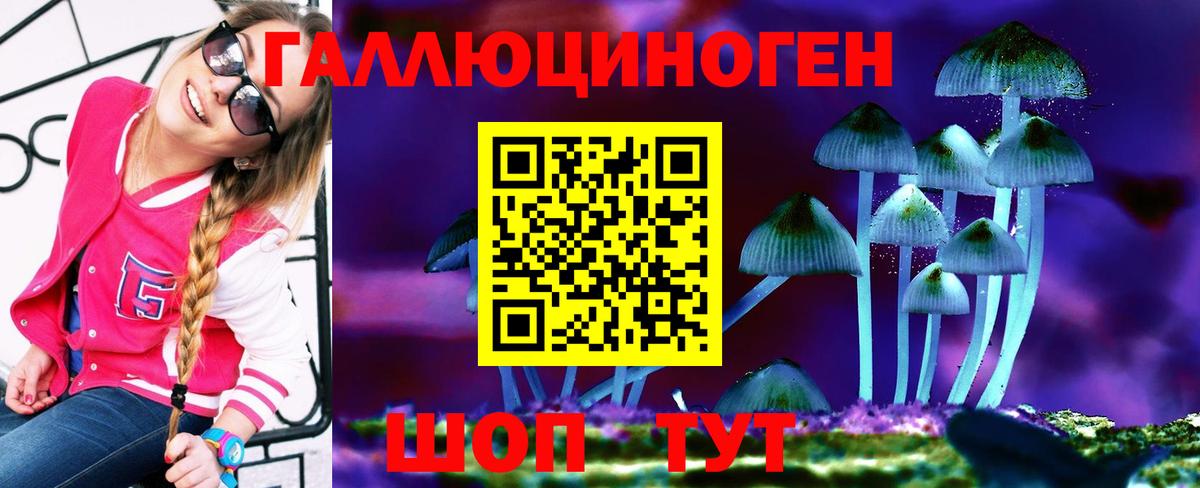 Кропоткин  Псилоцибиновые грибы GOLDEN TEACHER  Вход с VPN 