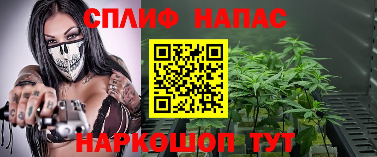 Шишки марихуана Ganja  Вход с VPN  Конопля тримм  Марихуана планчик  Бошки марихуана конопля  Кропоткин 